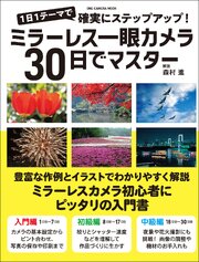 ミラーレス一眼カメラ30日でマスター