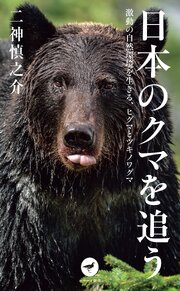 ヤマケイ新書 日本のクマを追う 激動の自然環境を生きる、ヒグマとツキノワグマ