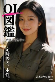OL図鑑 ～残業のあとで～