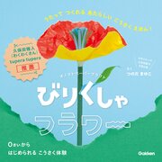 びりくしゃフラワー 1巻
