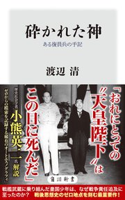 砕かれた神　ある復員兵の手記 1巻