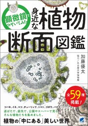 顕微鏡でのぞいてみた 身近な植物断面図鑑 1巻