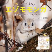 こんにちは！エゾモモンガ