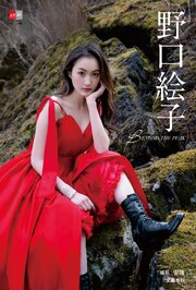 デジタル原色美女図鑑　野口絵子　BEYOND THE PEAK 1巻