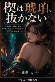 楔は琥珀、抜かない（挿絵版） 1巻