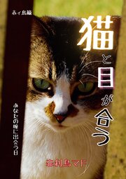 猫と目が合う　～あなたの瞳に出会う日～