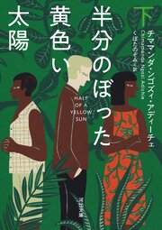 半分のぼった黄色い太陽 1-2巻