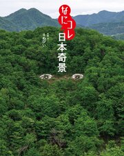 なにコレ日本奇景 1巻
