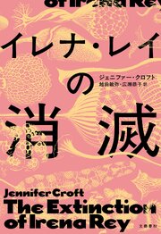 イレナ・レイの消滅
