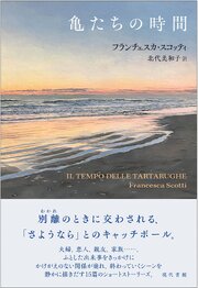 亀たちの時間 1巻