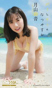 月山鈴音『週プレ プラス！』アザーカット集「ボクとキミのなつやすみ ～prologue～」 1巻