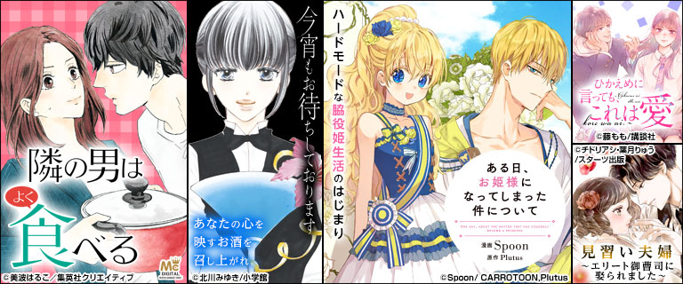 特別出品 数量限定モデル ボッテガヴェネタ クリム アイヤーズ カードケース 名刺入れ 特別出品 数量限定モデル ボッテガヴェネタ クリム アイヤーズ カードケース 名刺入れ