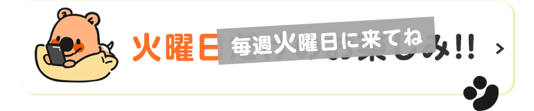 火曜日だけのお楽しみ!!
